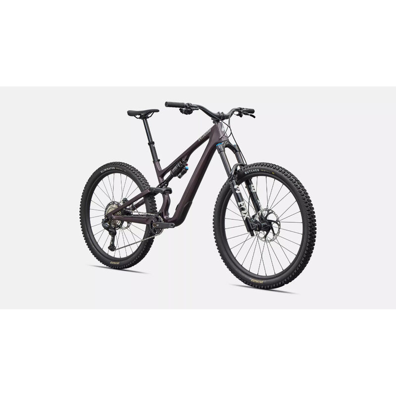 Specialized Stumpjumper 15 EVO Expert Mountain Bike - S4 Gloss Nebula Metallic image number 1