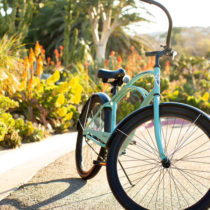 Cruiser (Townie) Bike - Adult