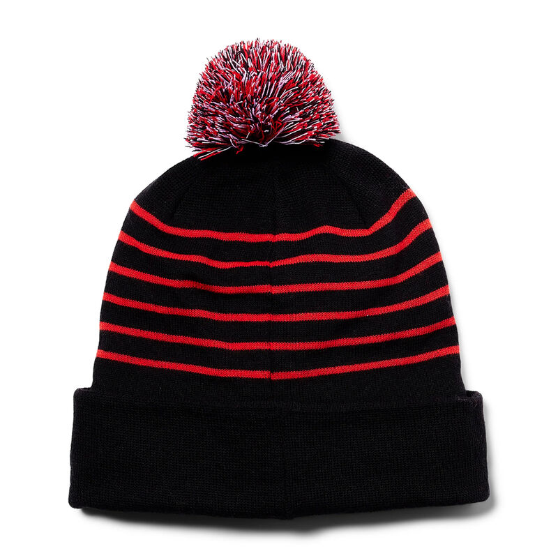 Spyder Icebox Pom Beanie Kids image number 1
