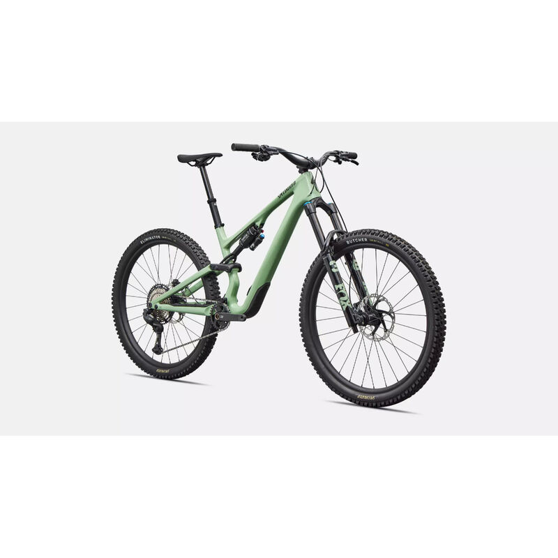 Specialized Stumpjumper 15 EVO Expert Mountain Bike - S3 Gloss Pistachio image number 1