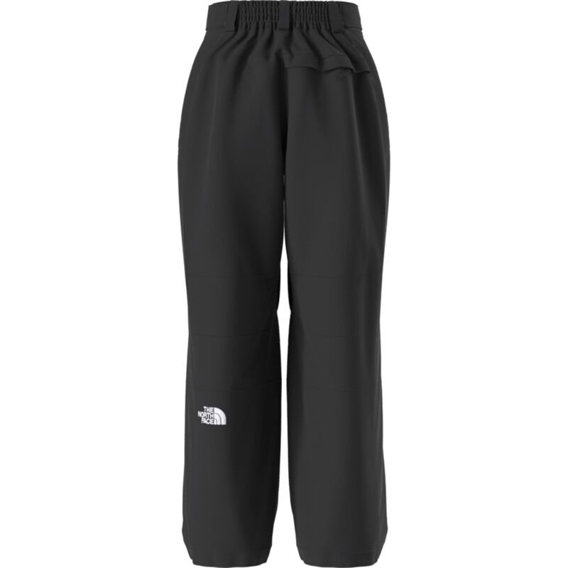 The North Face Gore-Tex Hex Pants Womens image number 1