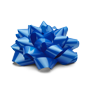 blue gift bow